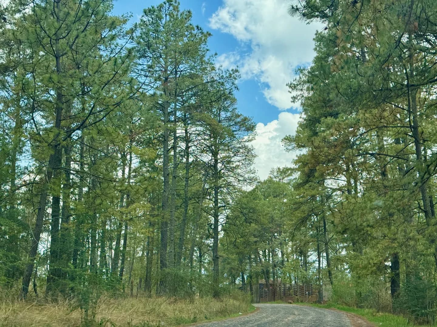 Agua, Montaña y Biodiversidad - Imagen 2
